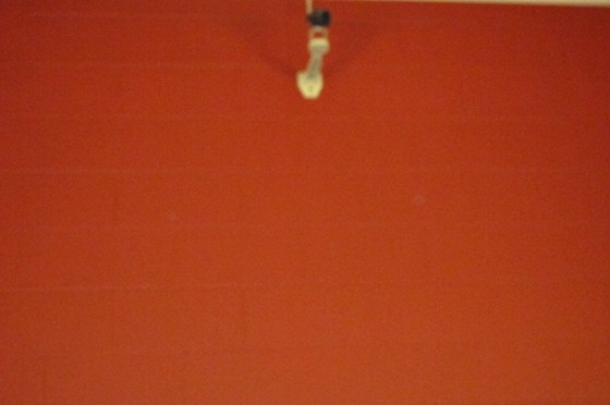 Side Project: photography